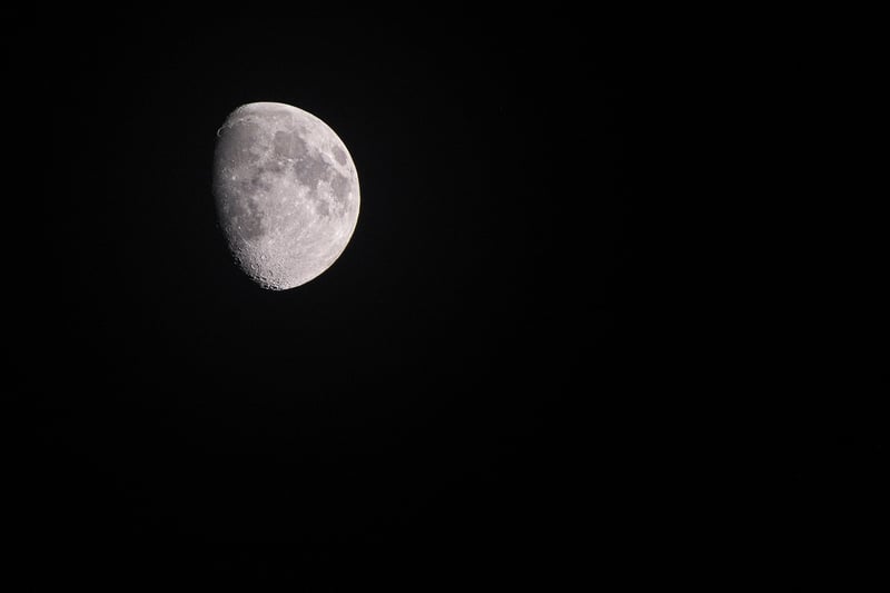 Lunar Tuxedos